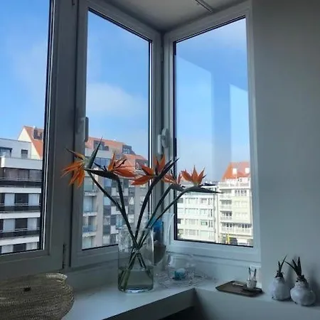 Apartment Magnifique Appartement Dans Le Centre De Knokke *